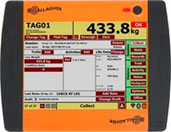 B and R Scale Services -