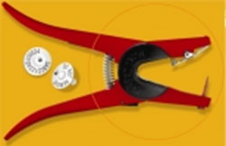 B and R Scale Services -